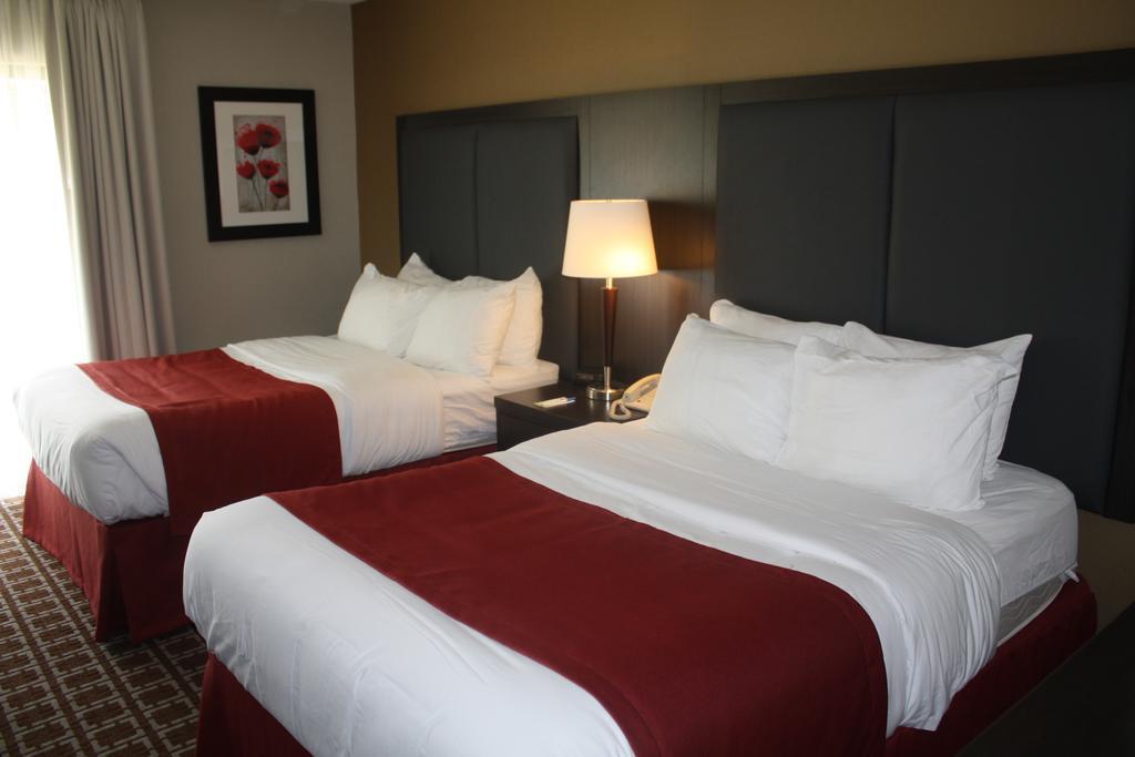 Comfort Burlington