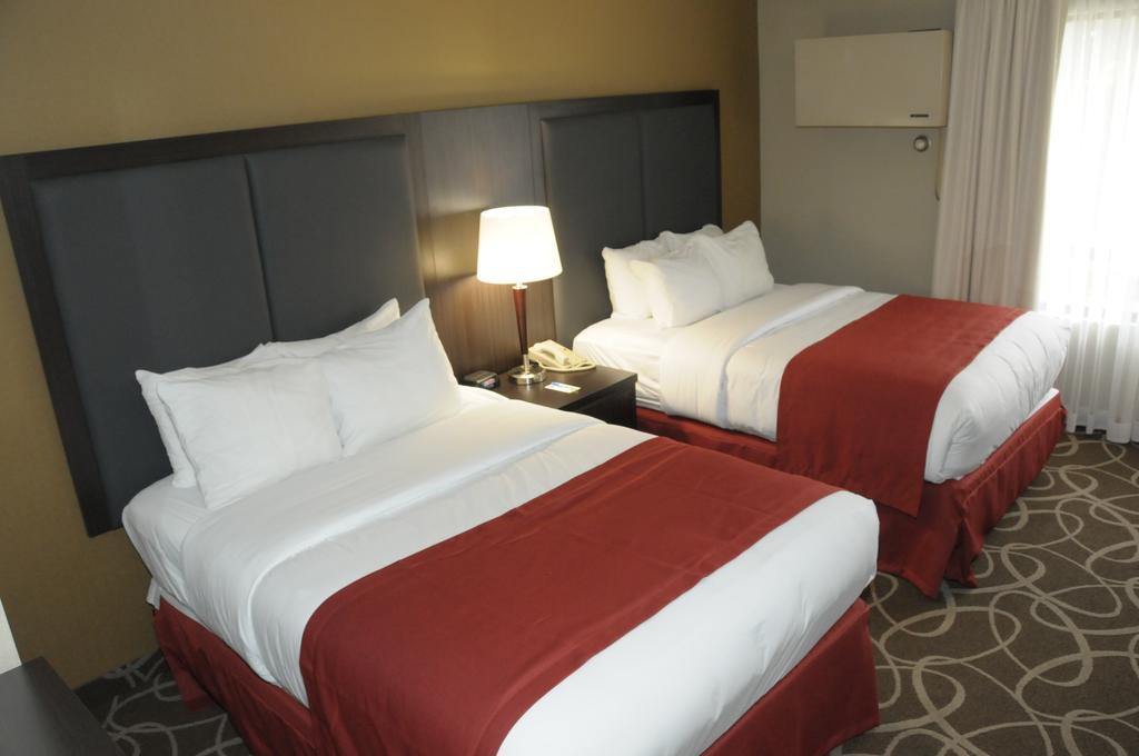 Comfort Burlington