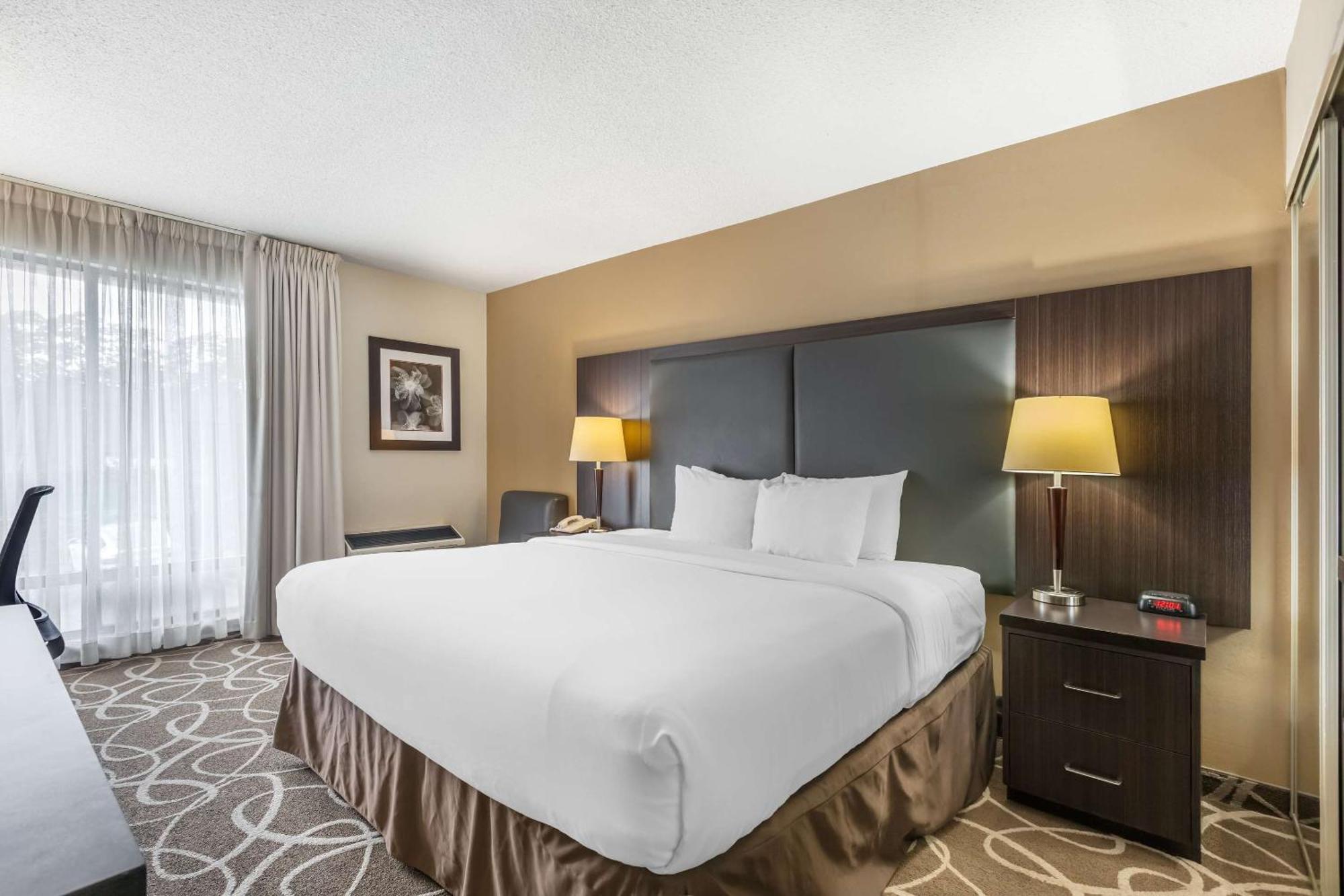 Inn Comfort